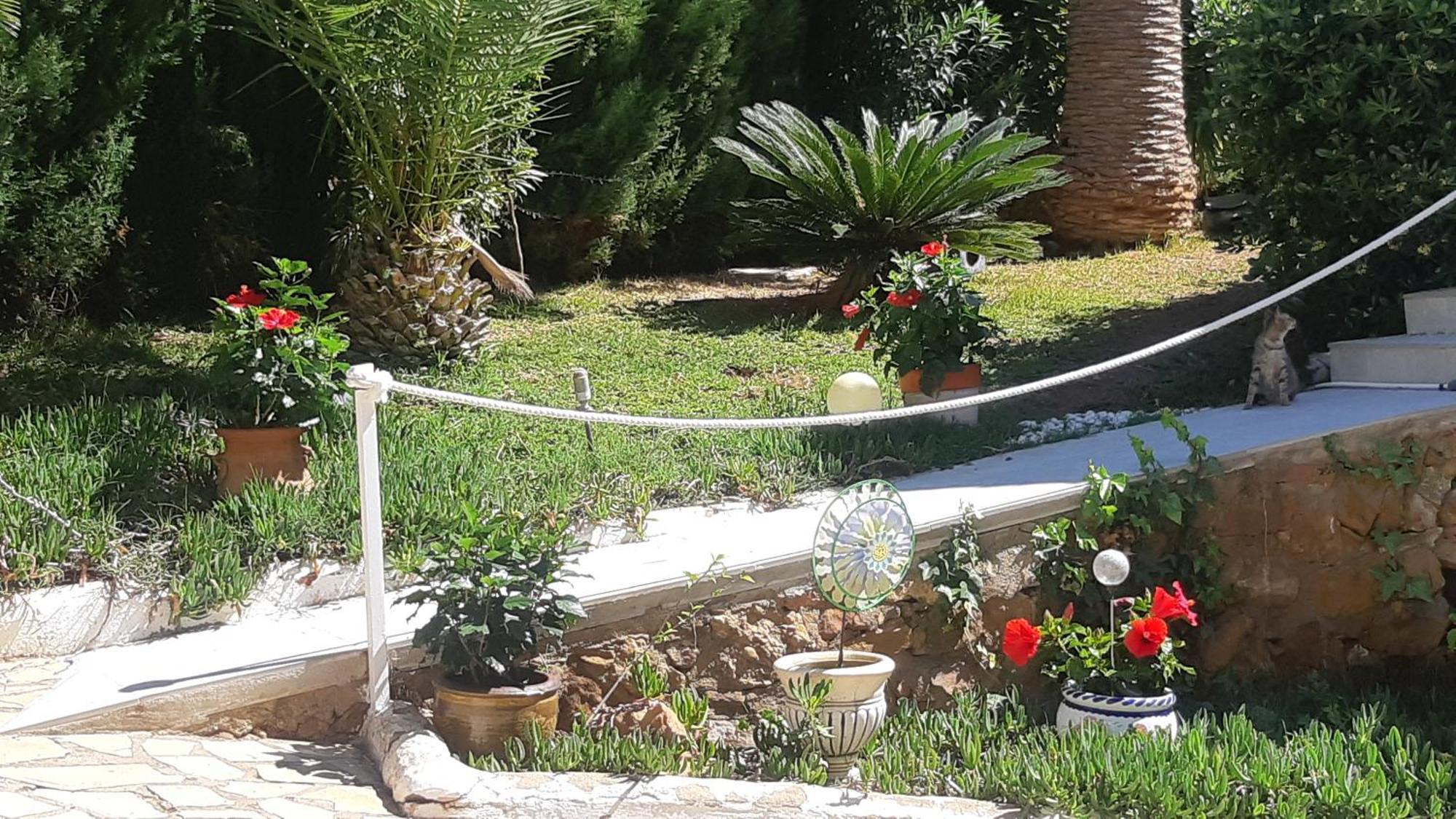 Ferienwohnung Mit Privat-Pool Alcossebre Екстериор снимка