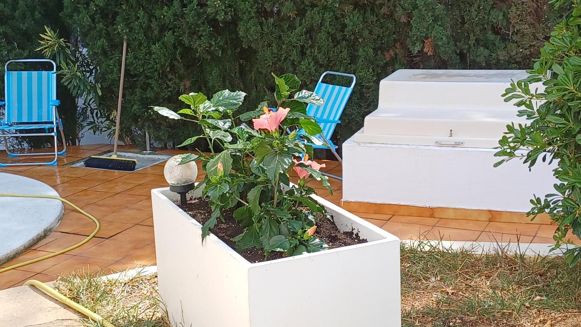 Ferienwohnung Mit Privat-Pool Alcossebre Екстериор снимка